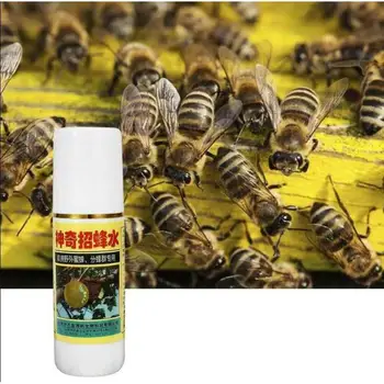 100 ml przenośny Bezpieczny pszczeli rój wabiący przynęta dowódca wabiący pułapka darmowe pszczoły, pszczelarstwo tajne pułapka odkryty