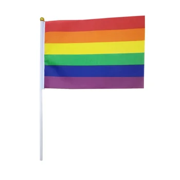 36pcs Gay Pride Flag HandHeld Vivid Mini Gay Party Decor Rainbow Flag LGBT Flag na parady Gay Party Festival