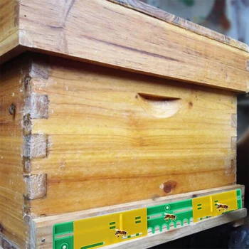 5 Sztuk Ula Gniazdo Otwór Wentylacyjny Pszczoła Anty-Biegacz Brama Wjazdowa Pszczelarz Pszczoła Anty-Ucieczka Drzwi Narzędzi Pszczelarskich
