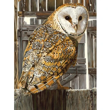 5d Diamond Craft Painting Owl Diamond Diy hafty piękne Rękodzieło, malarstwo mozaika prezent zwierzę Diament ściany sztuki wystrój