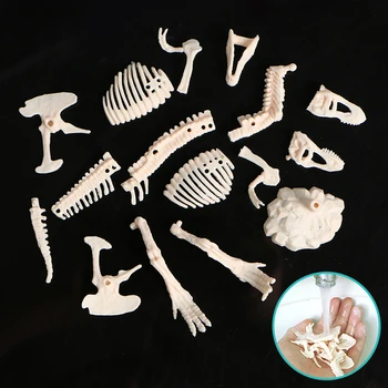 Kopcie i odkryj zestaw do wykopalisk szkieletu dinozaura.wyjmij kości z glinianego bloku za pomocą narzędzi do kopania kreatywnych zabawek