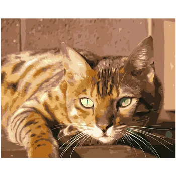 Malowanie według numerów DIY Dropshipping 40x50 50x65 cm gnuśny i leniwy żółty kot zwierzę płótno dekoracje ślubne sztuka obraz prezent