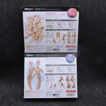 Oryginalny BODY KUN Takarai Rihito BODY CHAN Mange Figure Drawing DX BJD blado-pomarańczowy i szary kolor PVC akcja kolekcjonerska model zabawki