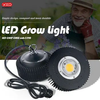 Oryginalny COB Cree CXB3590 CXB 3590 led grow light 3000k 3500k 5000k 80 Samsung LM561C S6 led grow light dla zdrowia roślin