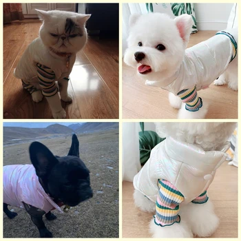 Pet Dog Clothes moda wodoodporny odzież dla małych psów, kotów zimowy ciepły kamizelka kurtka płaszcz dla psa chihuahua buldog Померанский