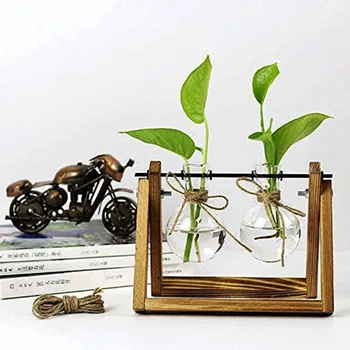 Szklane i drewniane sadzarka terrarium stół tenis Hydroponicznych roślin bonsai doniczka Wiszące doniczki z drewnianą tacą wystrój domu