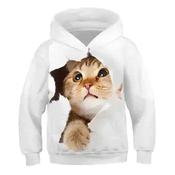 Zwierzęta kot 3D print chłopcy bluzy nastolatki 2020 Jesienne kurtki dla dzieci bluza z kapturem odzież dla dzieci sweter z długim rękawem topy